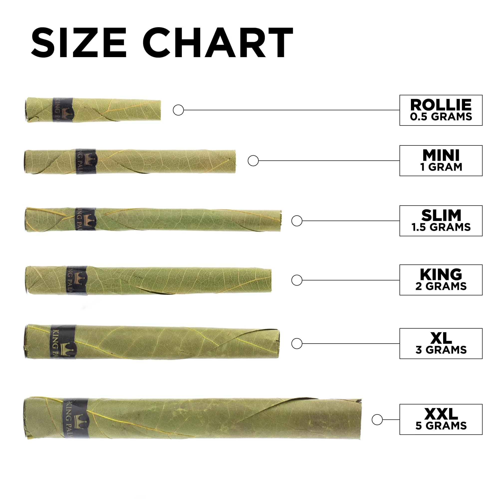600 XL Rolls - Image 2
