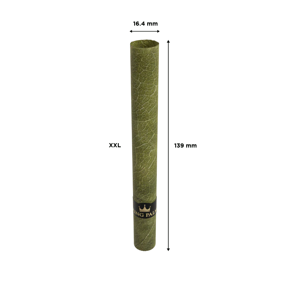 XXL Humidor - 35 Rolls / 5 Packing Sticks / Boveda Packet 72% - Image 3